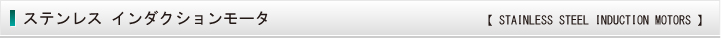 ステンレスインダクションモータ